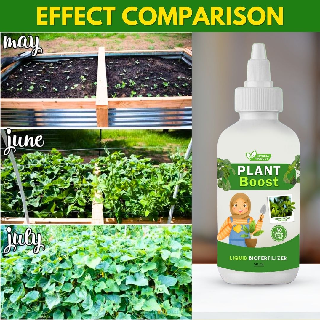 Plant Power Liquid Biofertilizer for All Crops,Organic (Pack of 4)