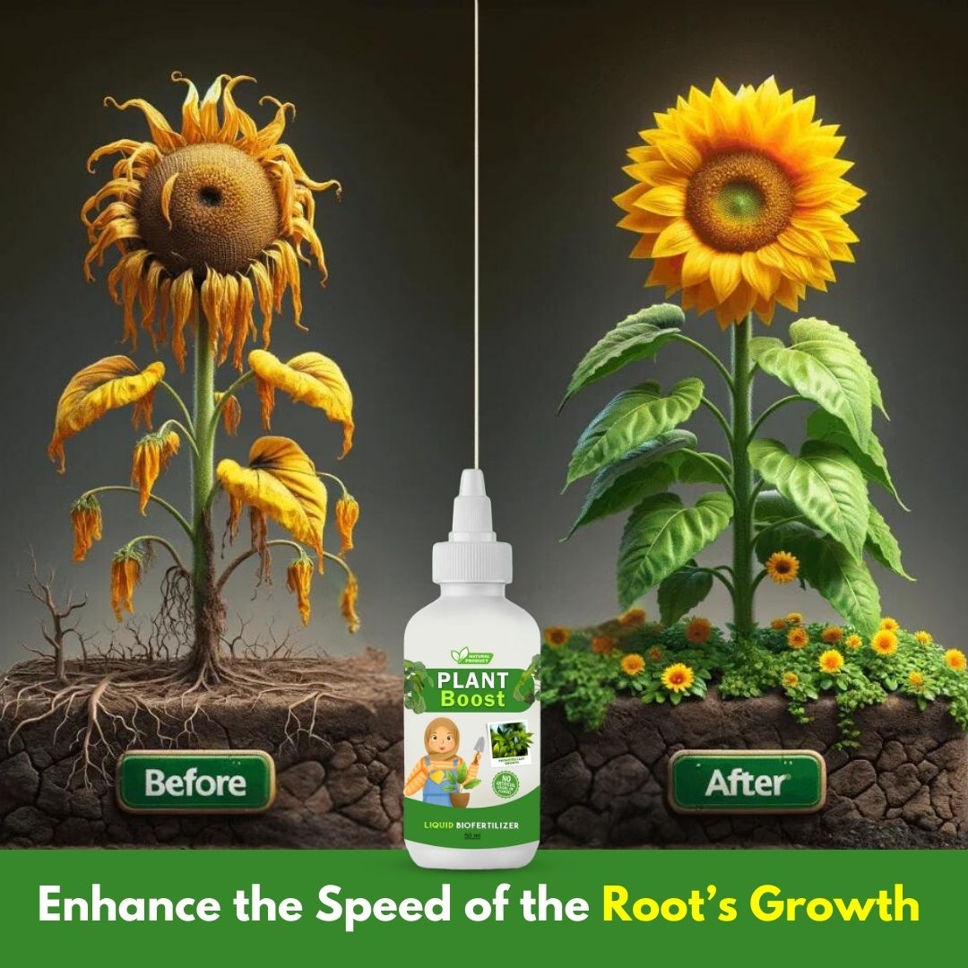 Plant Power Liquid Biofertilizer for All Crops,Organic (Pack of 4)